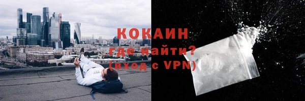 прущие грибы Арсеньев
