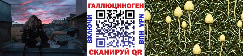 где можно купить МЕГА как войти Псилоцибиновые грибы мицелий Богородицк